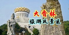 黄色视频插大逼中国浙江-绍兴大香林旅游风景区